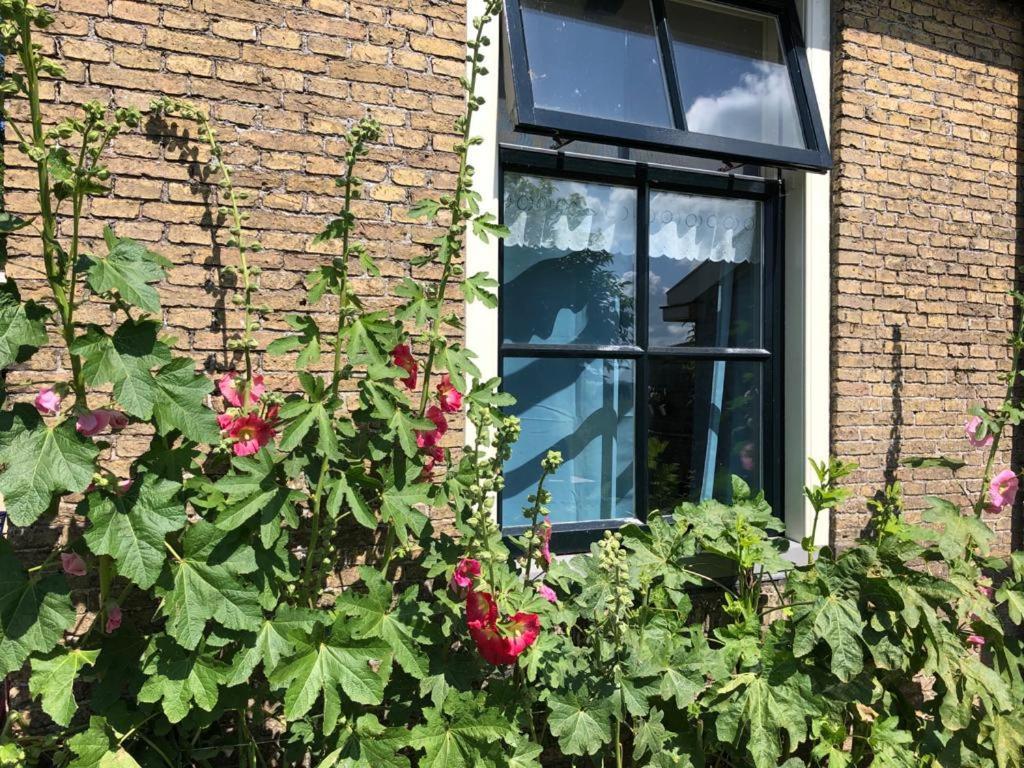 Vakantiehuis In Friesland Voor De Hele Familie Huns Exterior foto